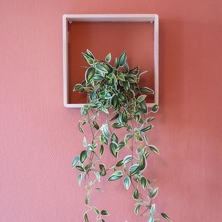 Le Petit Chez Vous - T1 Bergerac -2 Pers Apartment Luaran gambar